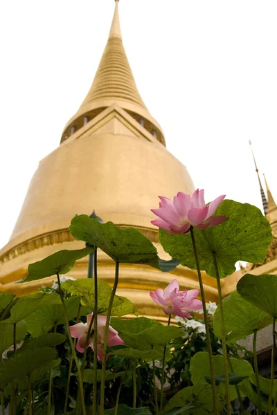 Chedi d'or au Grand Palais, Thaïlande — Photo