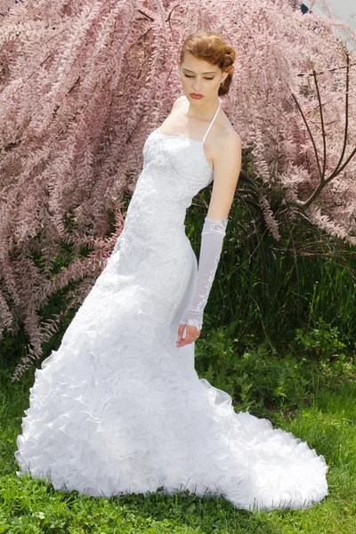 Retrato de hermosa joven en vestido de novia —  Fotos de Stock