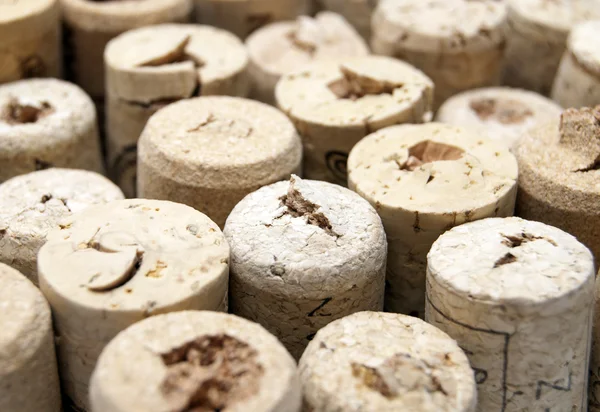 Wine cork tops — Stock Photo, Image