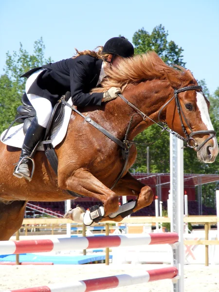 Молода дівчина з прихованим обличчям стрибає з коричневим конем — стокове фото