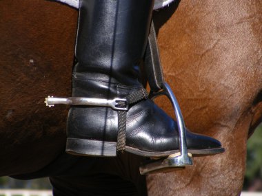 Ridding boots and spur clipart
