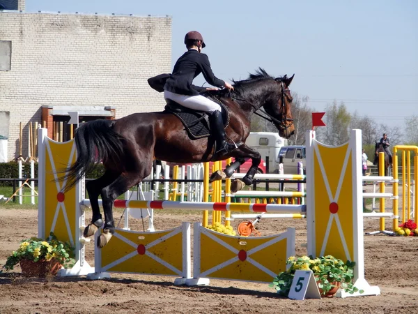Hombre con caballo espectáculo saltando — Foto de Stock