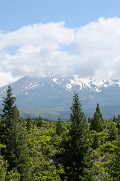 stock image Snow In July ?