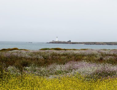 Güvercin noktası deniz feneri