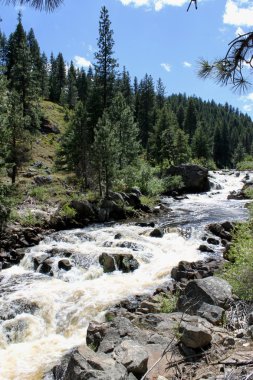 Little Salmon River In Idaho clipart