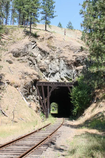 Old Railroad Tunnel — Stock Photo, Image