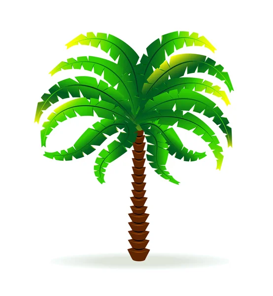 Palm tree 2 — Stock Vector