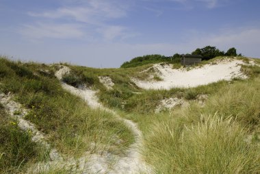 Sand dunes in south Sweden clipart