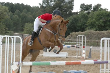 Horse and rider jumping an obstacle clipart