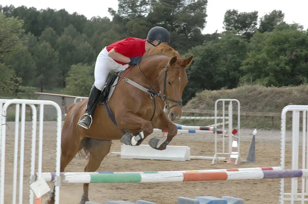 Cavalo e cavaleiro saltando um obstáculo — Fotografia de Stock