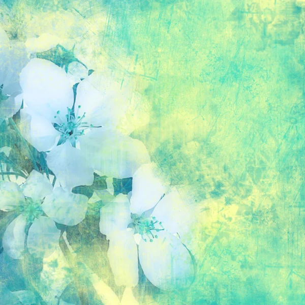 Flower vintage background — Stock Photo, Image