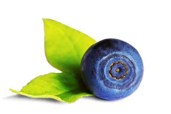Blueberry acro — Stock Photo, Image