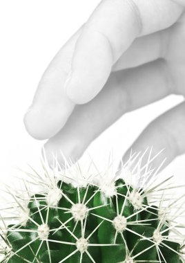 The hand touches a cactus clipart