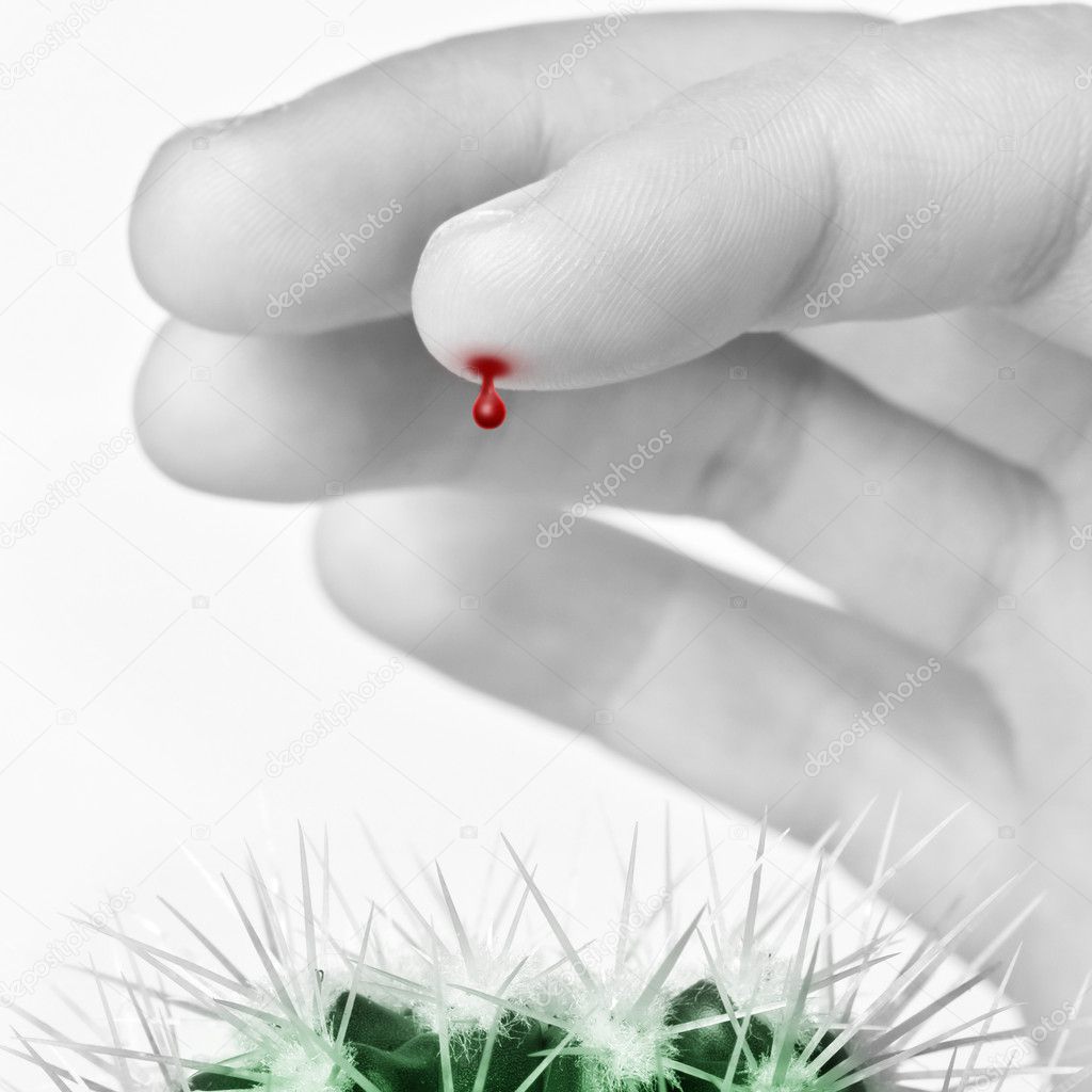 Finger with a blood drop pricked by cactus