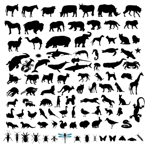 100 hayvan silhouettes — Stok Vektör