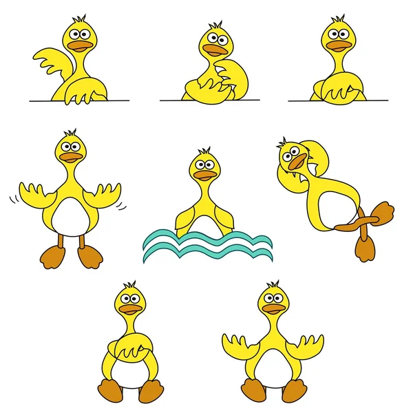 Cute Duck Set — Stock Vector