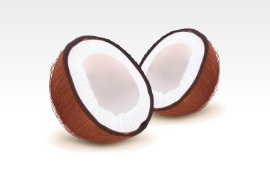 Coconut clipart