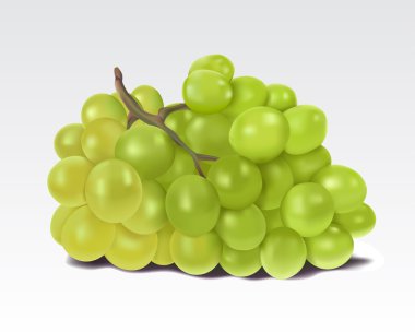 Green grape clipart