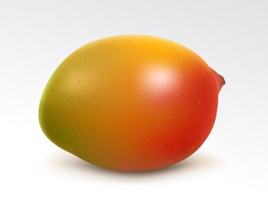 olgun mango