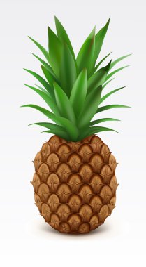 Pineapple clipart