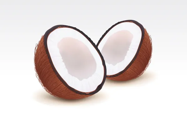Orzechy kokosowe — Wektor stockowy