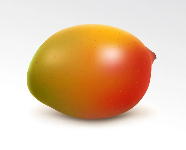 Mango maduro — Vector de stock