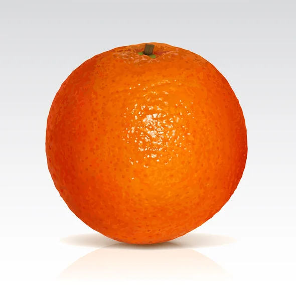 Big orange — Stock Vector