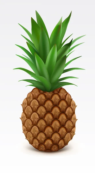 Ananas — Wektor stockowy