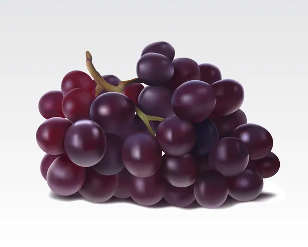 Куча винограда — стоковый вектор