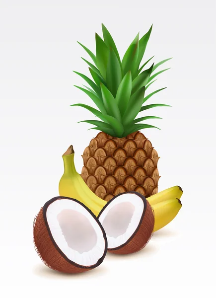 Tropické ovoce — Stockový vektor