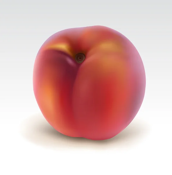Ripe peach — Stock Vector