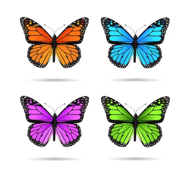 Butterflies clipart