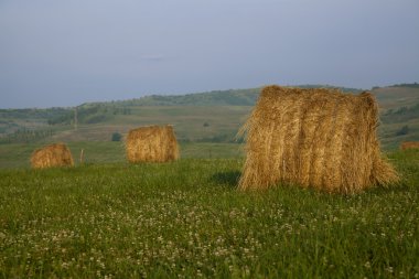 saman topları