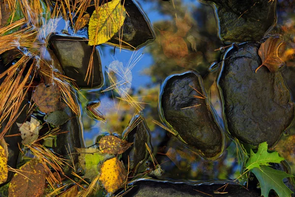Λακκούβα του φύλλα — Φωτογραφία Αρχείου