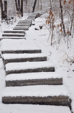 The stone steps of the forest clipart