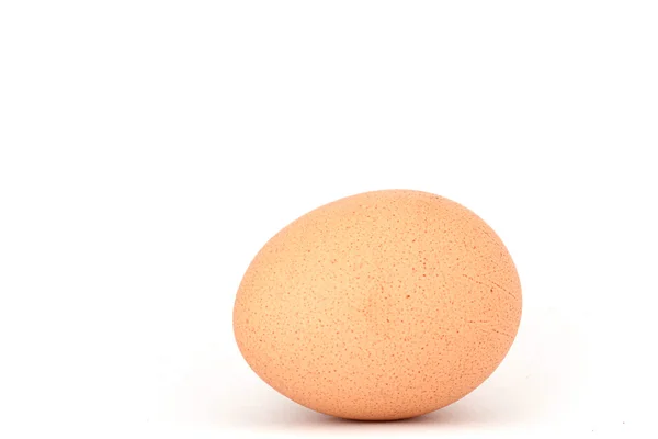 Satu telur — Stok Foto