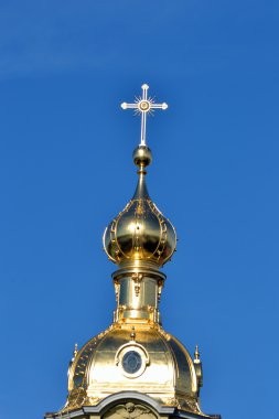St peter ve paul Katedrali, st petersburg, Rusya Federasyonu