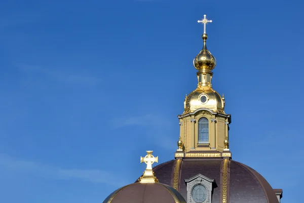 Architecturale details van st peter en paul kathedraal — Stockfoto