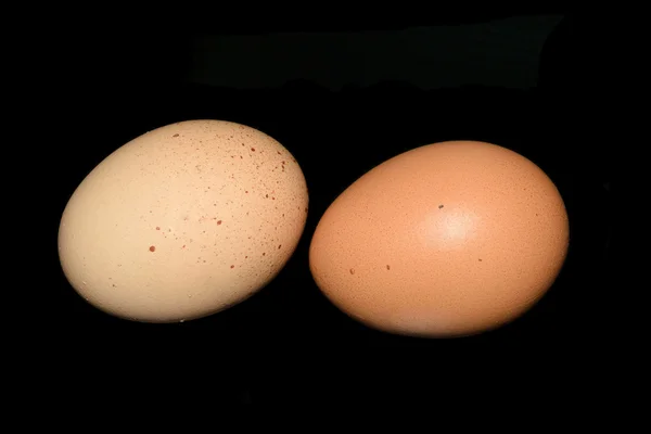 Dois ovos em preto — Fotografia de Stock