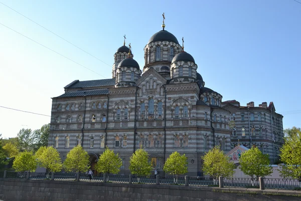 视图的大教堂圣彼得堡 — 图库照片
