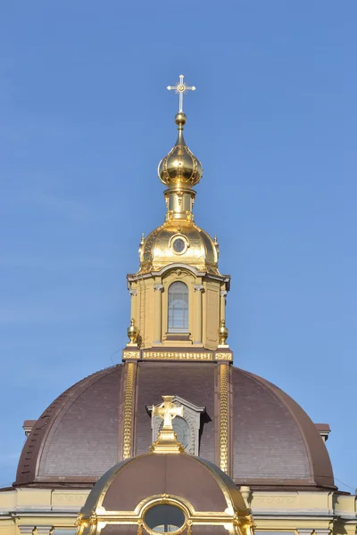 Katedralen i Peterskyrkan och paul fästning — Stockfoto