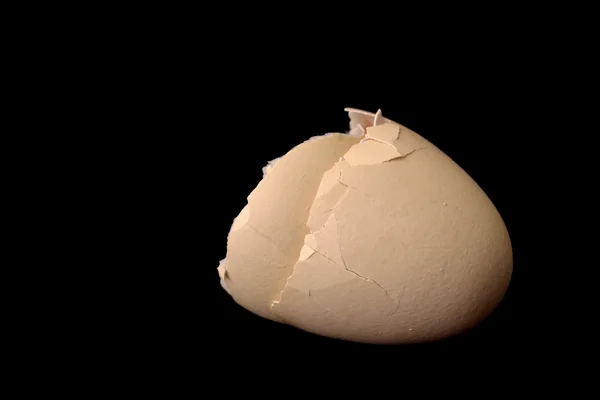 Яйцескорлупа — стоковое фото