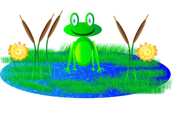 Jolie grenouille — Image vectorielle