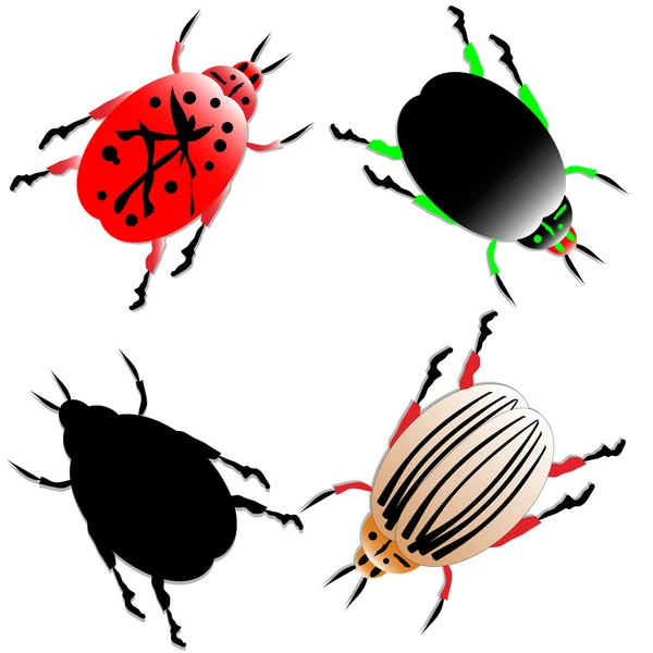 Zbiór owadów — Wektor stockowy