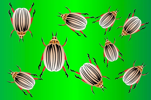 The Colorado potato beetles — Stock Vector