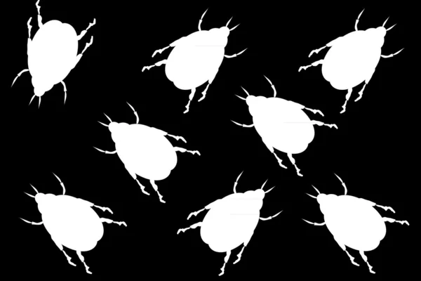 Svart bakgrund med vita skalbaggar — Stock vektor