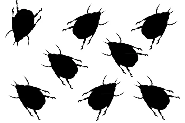 Escarabajos negros sobre fondo blanco — Vector de stock