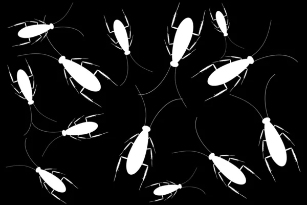 White cockroaches isolated on black background — Stock Vector