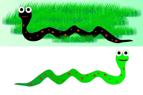 Serpent dans l'herbe et serpent sur fond blanc — Image vectorielle