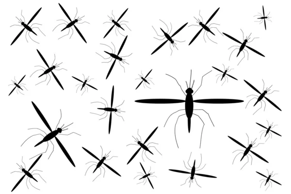 Moustiques — Image vectorielle